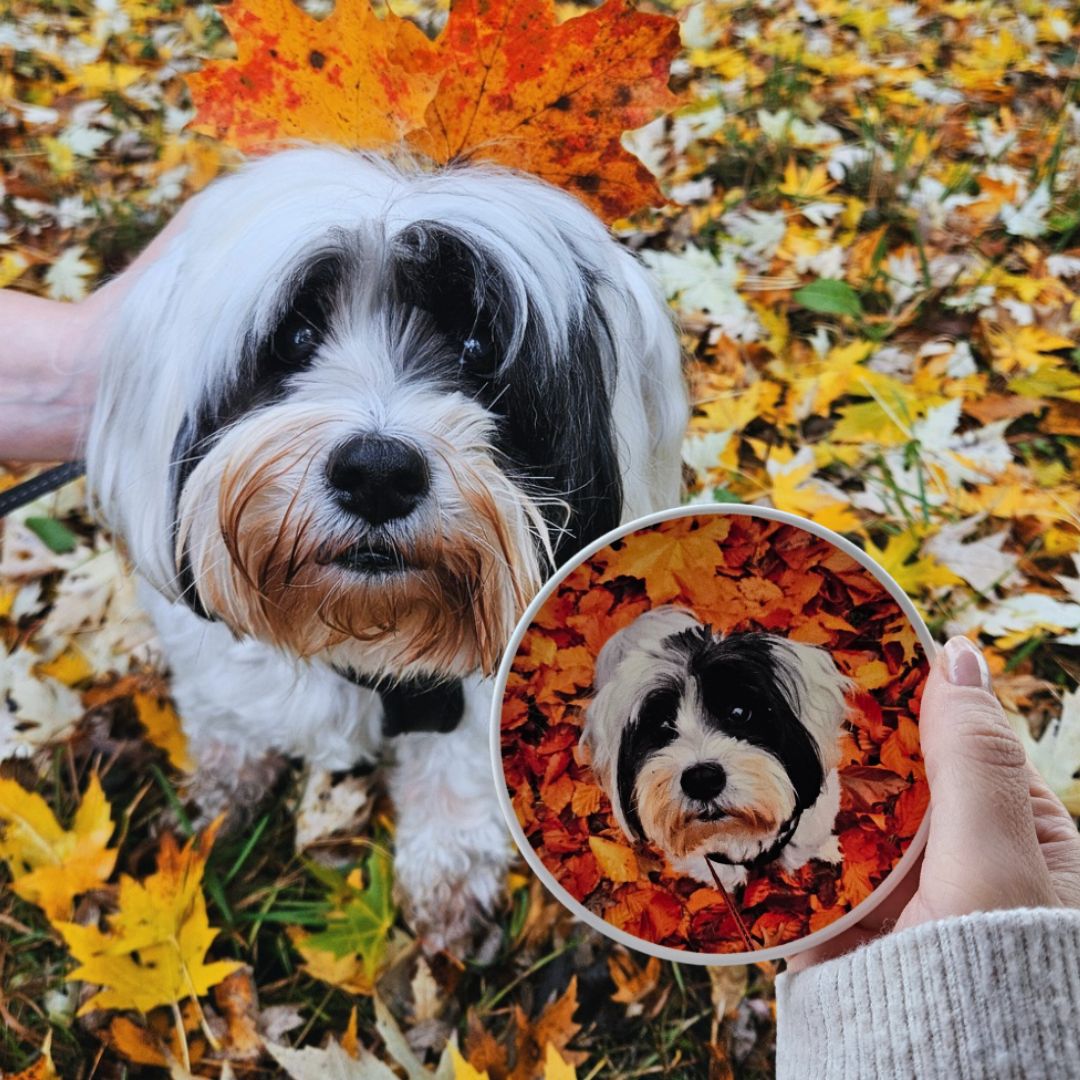 Dein personalisierter Deckel