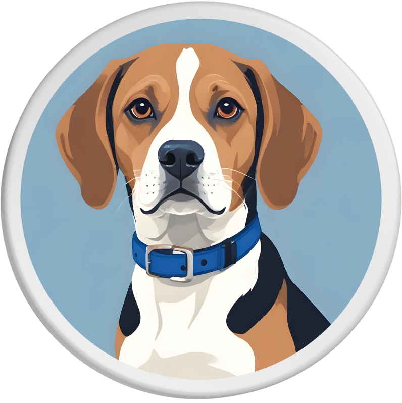 Bildnis eines Beagles mit braunem, weißem und schwarzem Fell und blauem Halsband. Der Hund schaut aufmerksam und ruhig in die Kamera. Der blaue Hintergrund unterstreicht den freundlichen und treuen Ausdruck des Beagles.