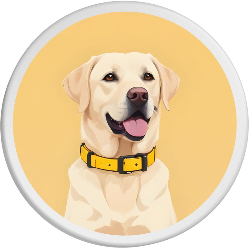 Fröhliches Portrait eines Labrador Retrievers mit cremefarbenem Fell und gelbem Halsband, der lächelnd in die Kamera schaut. Der beige Hintergrund unterstreicht seine liebenswerte Ausstrahlung.