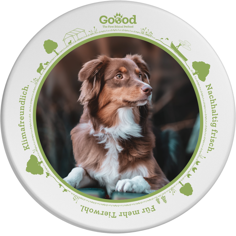 Personalisierter Goood Dosendeckel – Nachhaltig Goood