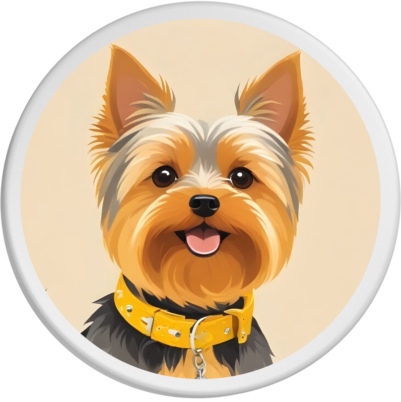 Fröhliches Portrait eines Yorkshire Terriers mit seidigem, schwarzbraunem Fell und gelbem Halsband. Der Hund blickt mit großen, strahlenden Augen in die Kamera und wird durch den beigefarbenen Hintergrund in seiner lebhaften, charmanten Ausstrahlung unterstrichen.