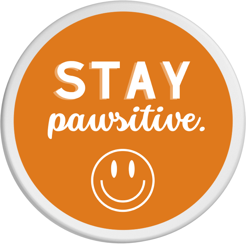 Dosendeckel - stay pawsitive